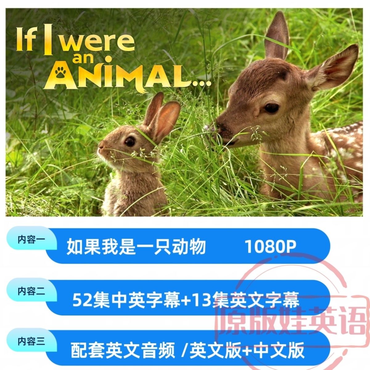 BBC儿童科普 如果我是一只动物 英文版/中文版 含音频超清画质-拼多多虚拟产品第4221期